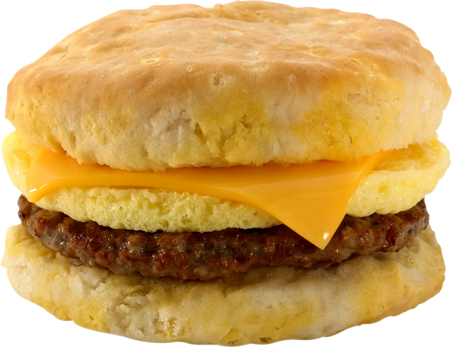 685060084698_240130_DNB_SEC Biscuit